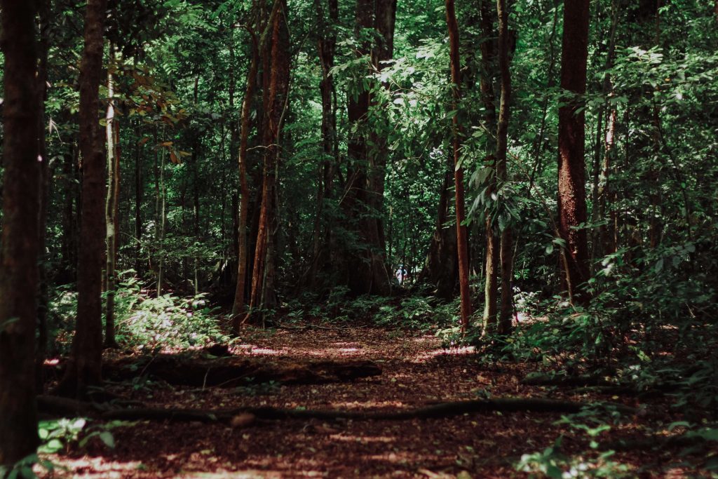 10 trucs relous en balade en forêt