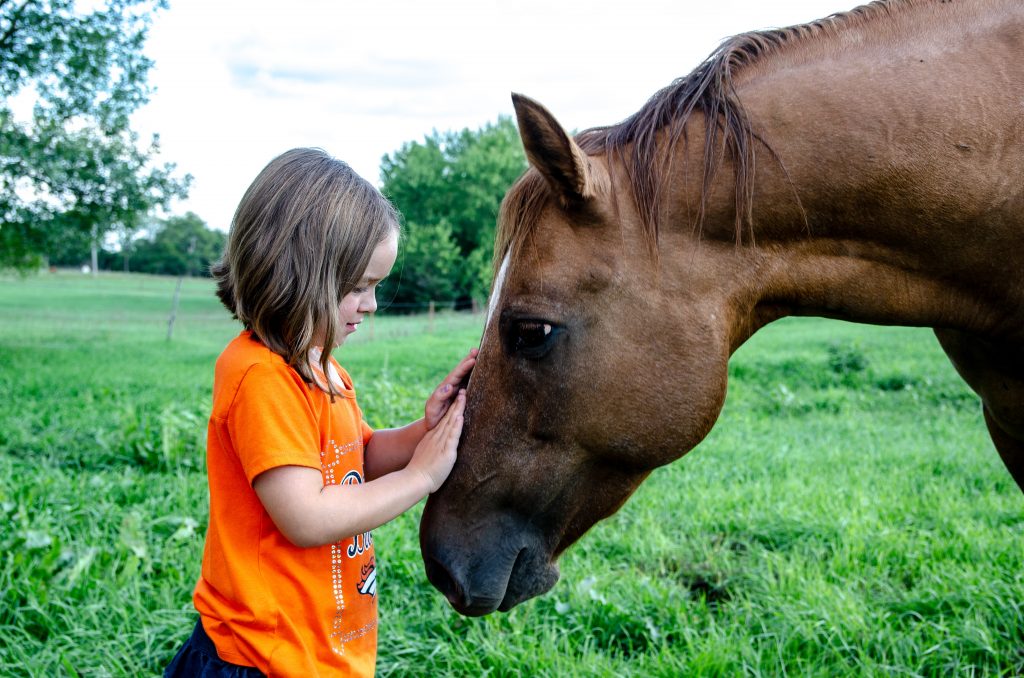 10 bonnes raisons de parler à son cheval