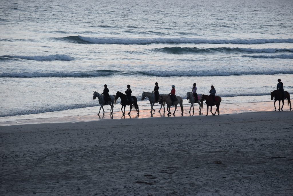 L’été vécu par les cavaliers - les balades à la plage