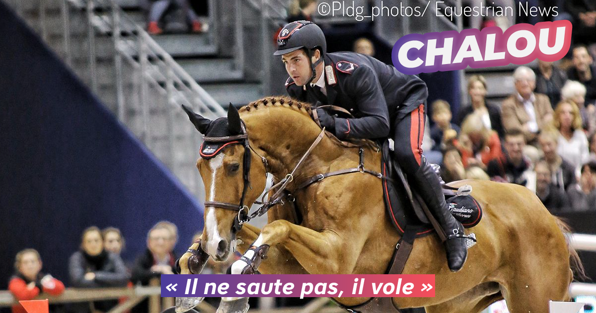 10 choses à savoir sur Chalou - Equestrian News